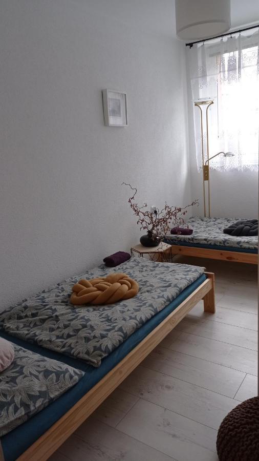 Babcares Apa Gory Izerskie Daire Mirsk Dış mekan fotoğraf