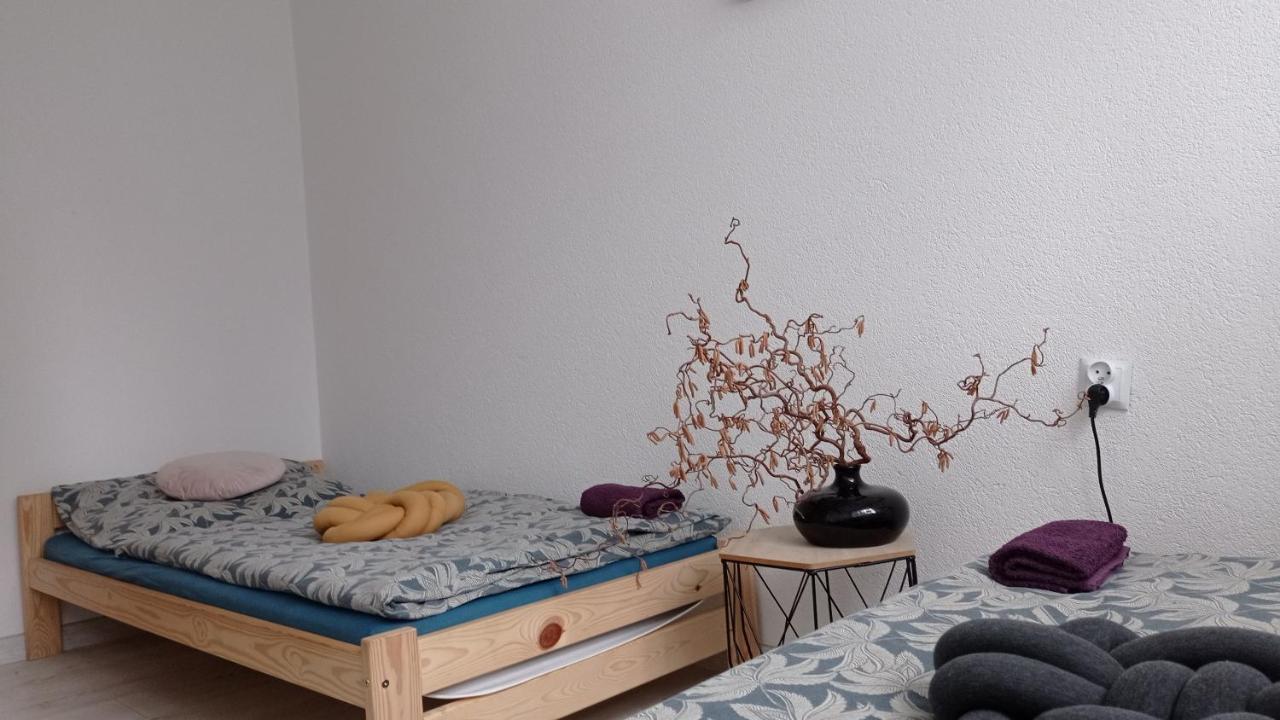 Babcares Apa Gory Izerskie Daire Mirsk Dış mekan fotoğraf